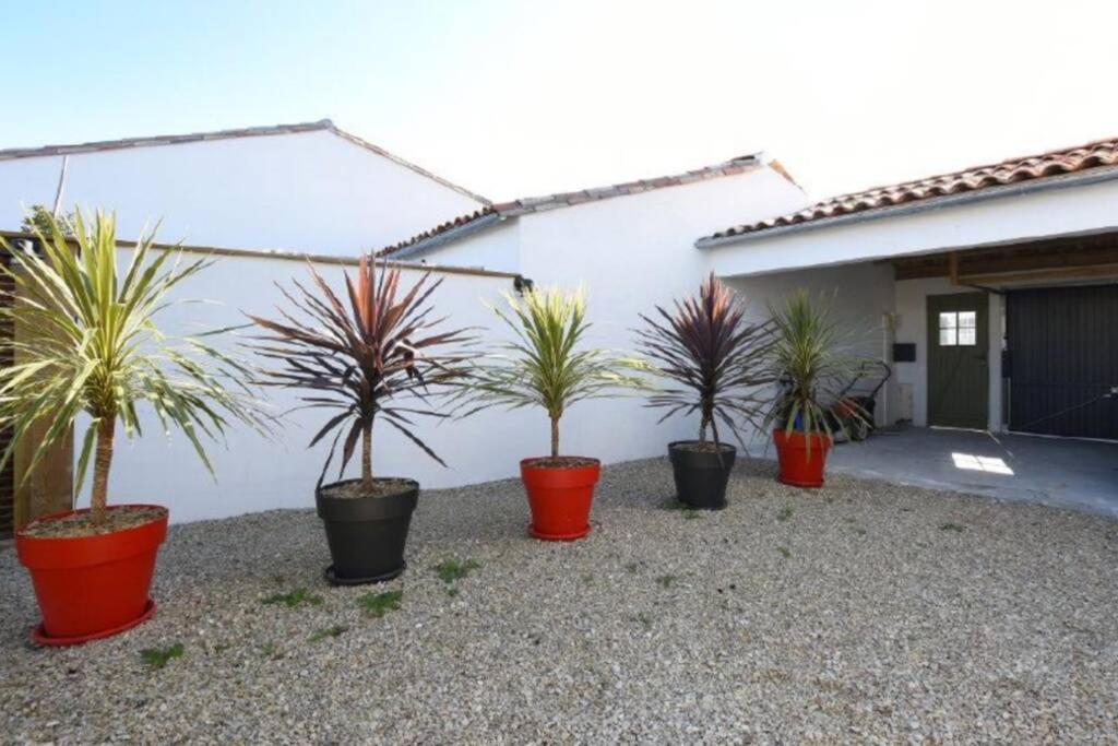 L'Oiseliere ------- Nul Part Ailleurs Villa Loix Exterior foto